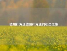 德州扑克迷德州扑克迷的心灵之旅
