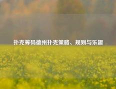 扑克筹码德州扑克策略、规则与乐趣