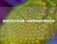 德州扑克小米决赛一场智勇对决的巅峰时刻