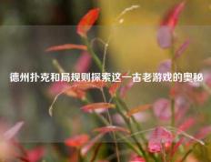 德州扑克和局规则探索这一古老游戏的奥秘
