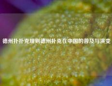 德州扑扑克规则德州扑克在中国的普及与演变