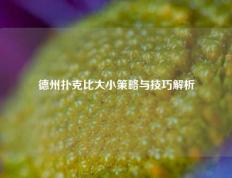 德州扑克比大小策略与技巧解析