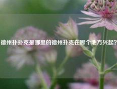 德州扑扑克是哪里的德州扑克在哪个地方兴起？