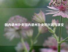 国内德州扑克国内德州扑克的兴起与演变