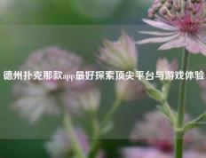 德州扑克那款app最好探索顶尖平台与游戏体验