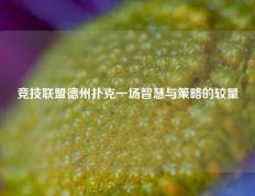 竞技联盟德州扑克一场智慧与策略的较量