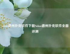 sohoo德州扑克软件下载Sohoo德州扑克软件全面评测