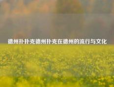德州扑扑克德州扑克在德州的流行与文化