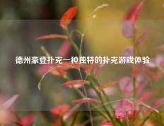 德州豪登扑克一种独特的扑克游戏体验