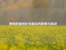 博狗的德州扑克能玩吗探索与挑战