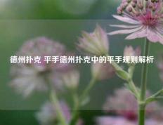 德州扑克 平手德州扑克中的平手规则解析