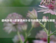 德州扑克42速算德州扑克中的数学智慧与策略