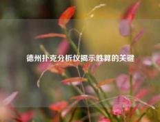 德州扑克分析仪揭示胜算的关键