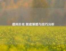 德州扑克 限底策略与技巧分析
