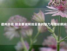 德州扑克 现金赛视频现金赛的魅力与精彩瞬间