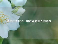 德州扑克12345一种古老而迷人的游戏