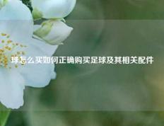 球怎么买如何正确购买足球及其相关配件