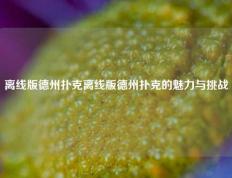 离线版德州扑克离线版德州扑克的魅力与挑战