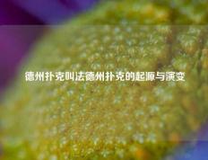 德州扑克叫法德州扑克的起源与演变