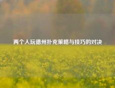 两个人玩德州扑克策略与技巧的对决