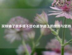 买球输了很多钱不甘心追梦路上的挫折与坚持