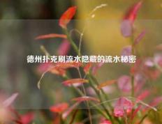 德州扑克刷流水隐藏的流水秘密