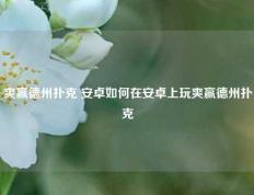爽赢德州扑克 安卓如何在安卓上玩爽赢德州扑克