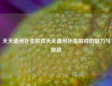 天天德州扑克游戏天天德州扑克游戏的魅力与挑战