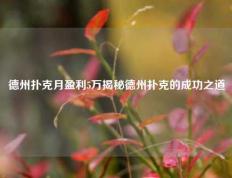 德州扑克月盈利5万揭秘德州扑克的成功之道