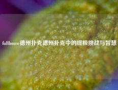 fullhouse德州扑克德州扑克中的终极挑战与智慧