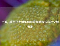宁波g4德州扑克俱乐部探索高端娱乐与社交新天地