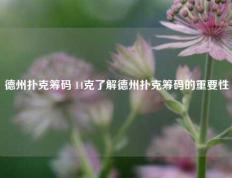 德州扑克筹码 14克了解德州扑克筹码的重要性