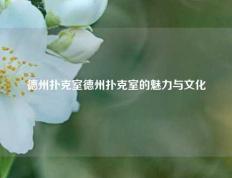 德州扑克室德州扑克室的魅力与文化