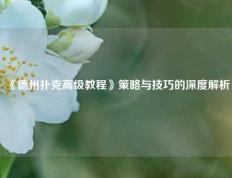 《德州扑克高级教程》策略与技巧的深度解析