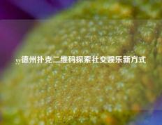 yy德州扑克二维码探索社交娱乐新方式