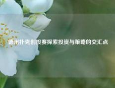 德州扑克创投赛探索投资与策略的交汇点