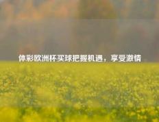 体彩欧洲杯买球把握机遇，享受激情