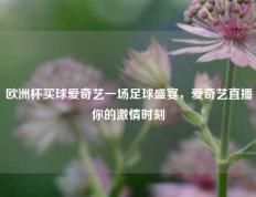 欧洲杯买球爱奇艺一场足球盛宴，爱奇艺直播你的激情时刻