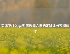 买球下什么app如何选择合适的足球比分预测软件