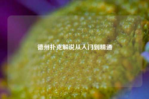 德州扑克解说从入门到精通