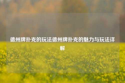 德州牌扑克的玩法德州牌扑克的魅力与玩法详解