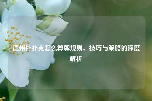 德州扑扑克怎么算牌规则、技巧与策略的深度解析