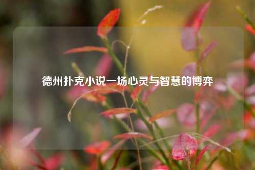 德州扑克小说一场心灵与智慧的博弈