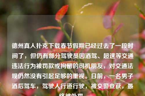 德州真人扑克下载春节假期已经过去了一段时间了，但仍有部分驾驶员因酒驾、超速等交通违法行为被罚款或拘留的司机朋友，对交通法规仍然没有引起足够的重视。日前，一名男子酒后驾车，驾驶人行道行驶，被交警查获，最终被处罚。