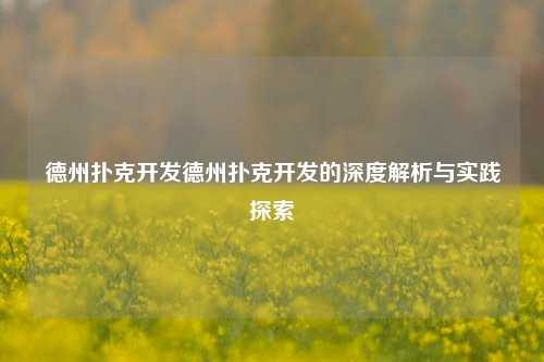德州扑克开发德州扑克开发的深度解析与实践探索
