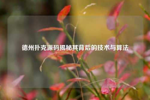 德州扑克源码揭秘其背后的技术与算法