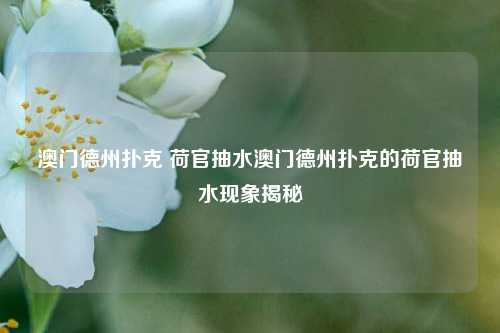 澳门德州扑克 荷官抽水澳门德州扑克的荷官抽水现象揭秘