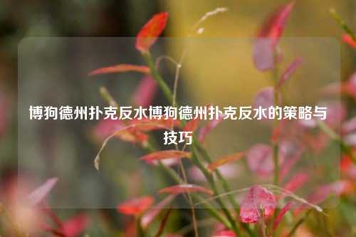 博狗德州扑克反水博狗德州扑克反水的策略与技巧