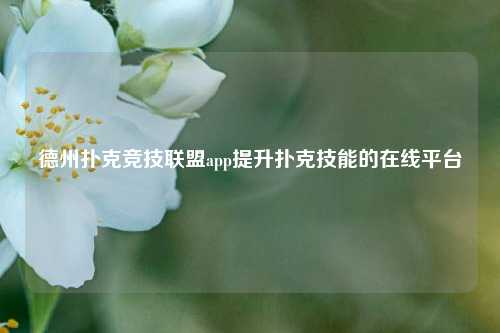德州扑克竞技联盟app提升扑克技能的在线平台