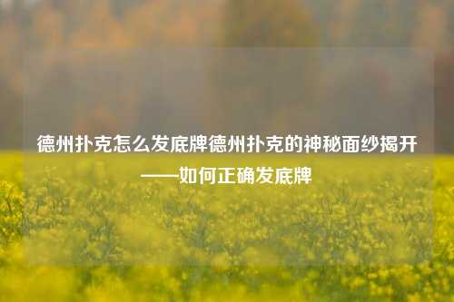 德州扑克怎么发底牌德州扑克的神秘面纱揭开——如何正确发底牌